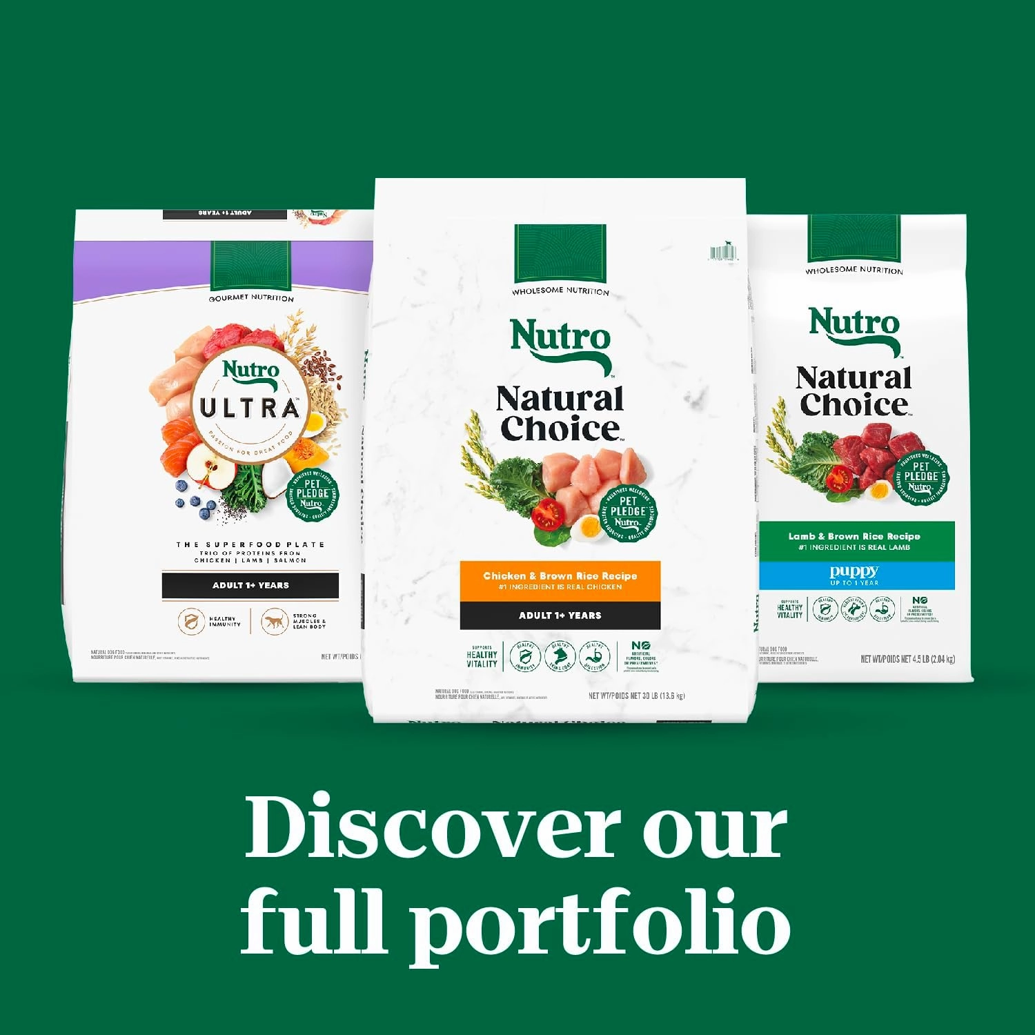 Nutro Natural Choice Adult Small Breed Dry Dog Food, Chicken and Brown Rice, 13 lbs.