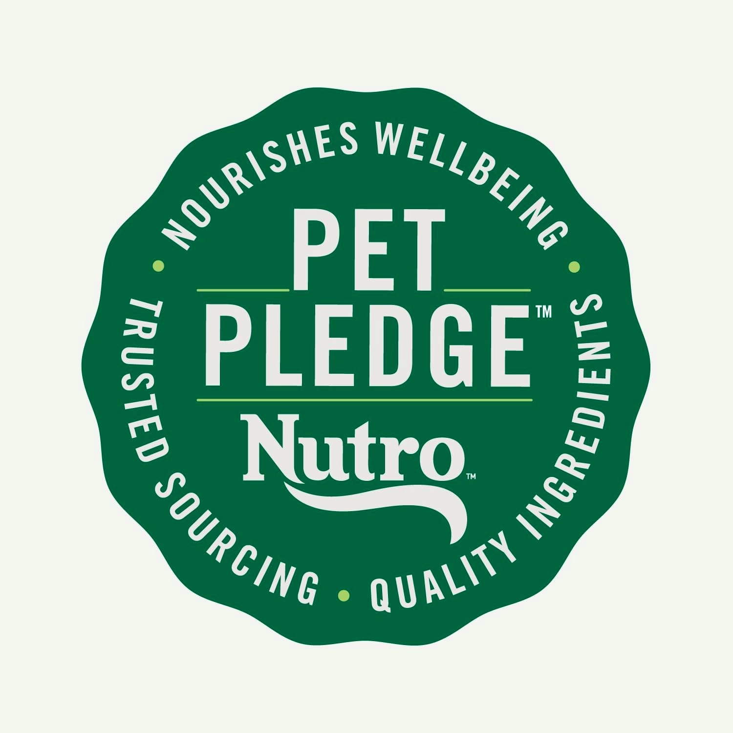 Nutro Natural Choice Senior Dry Dog Food, Chicken and Brown Rice Recipe, 13 lbs.