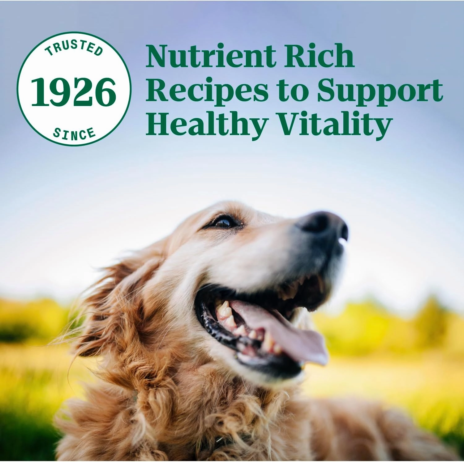 Nutro Natural Choice Senior Dry Dog Food, Chicken and Brown Rice Recipe, 13 lbs.