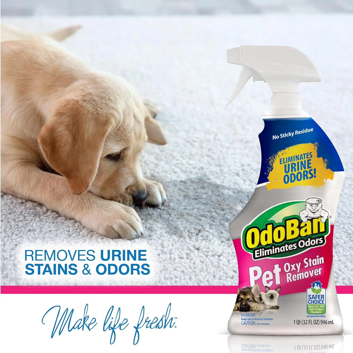 OdoBan Pet Solutions Oxy Stain Remover 2-Pack, 32 Ounce Sprays Each, and Neutral pH Floor Cleaner Concentrate, 1 Gallon