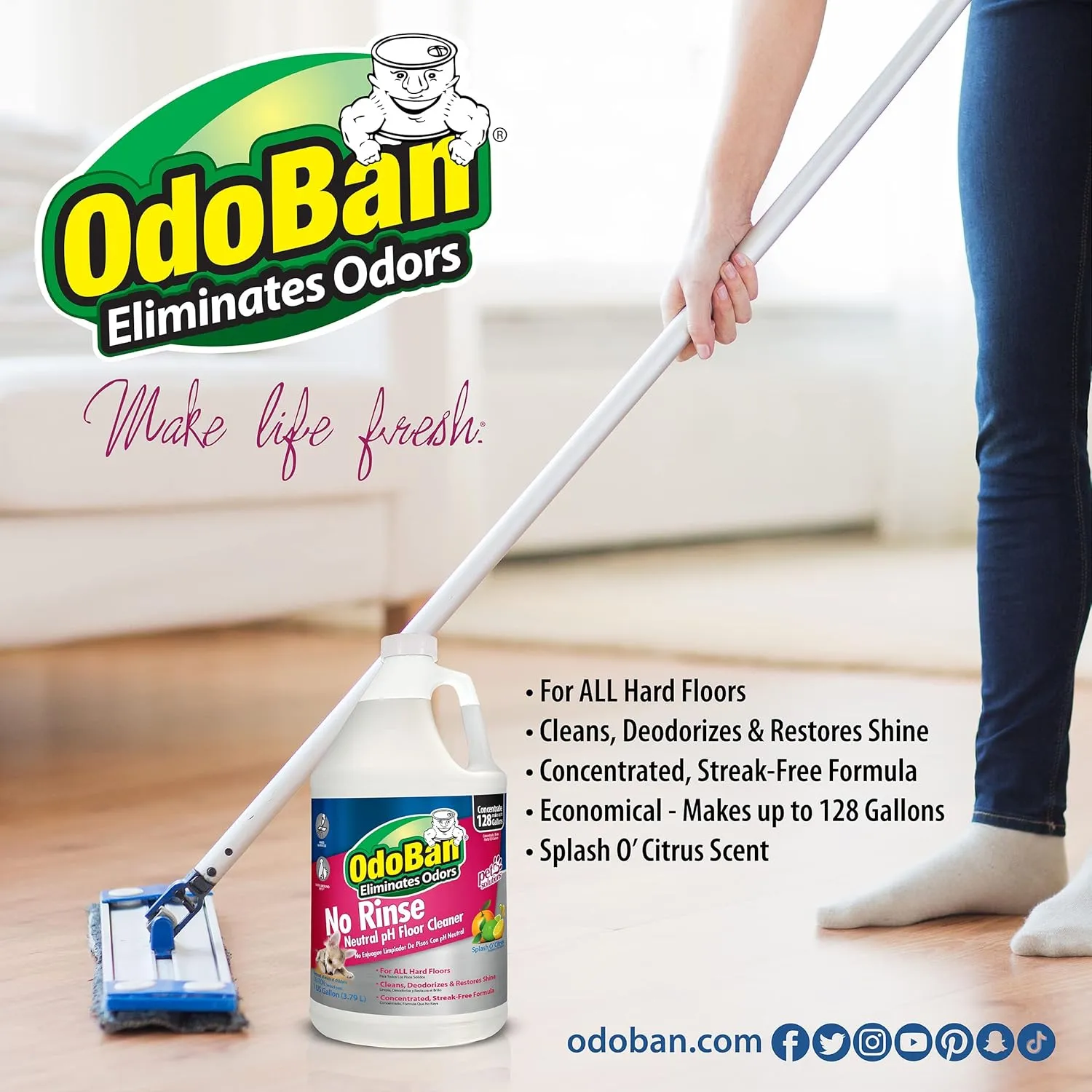OdoBan Pet Solutions Oxy Stain Remover 2-Pack, 32 Ounce Sprays Each, and Neutral pH Floor Cleaner Concentrate, 1 Gallon