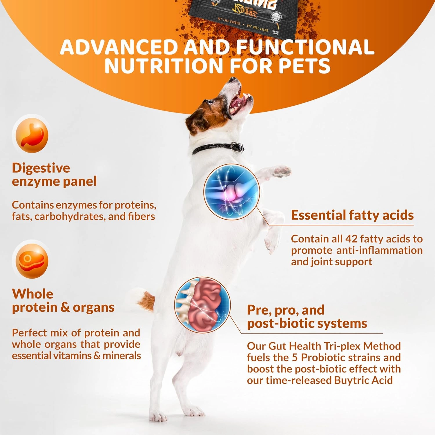 Origins 5-in-1 Dog Supplement - Powdered Food Topper w/Natural Omega 3 Fish Oil - Supports Healthy Digestion, Skin, and Coat - Helps Reduce Itching & Joint Inflammation (5 lbs)