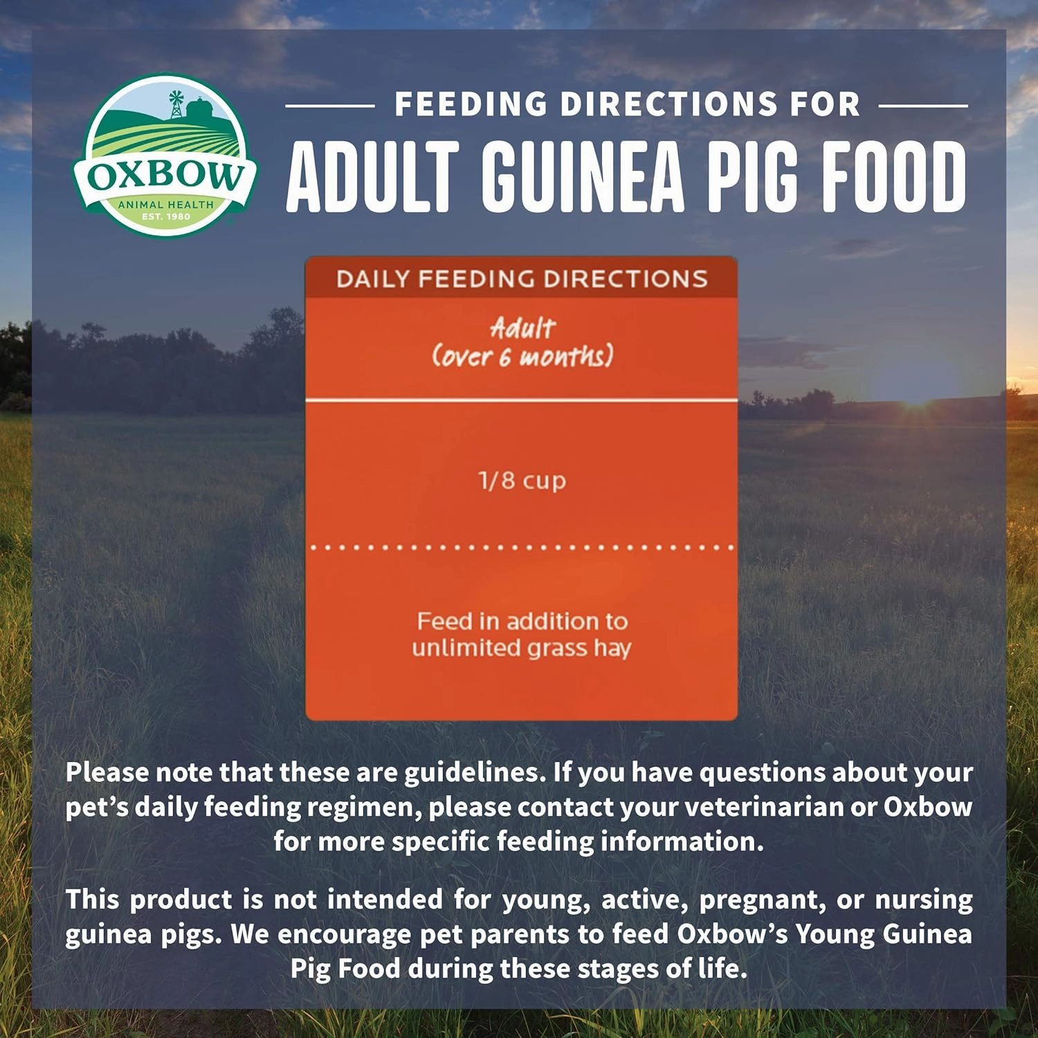 Oxbow Garden Select Guinea Pig Food, Adult, Made Timothy Hay for Guinea Pig, Pet Food Pellets with Vitamin C, Non-GMO, Small Animal Pet Products, Made in USA, High Fiber, 8 lb. Bag