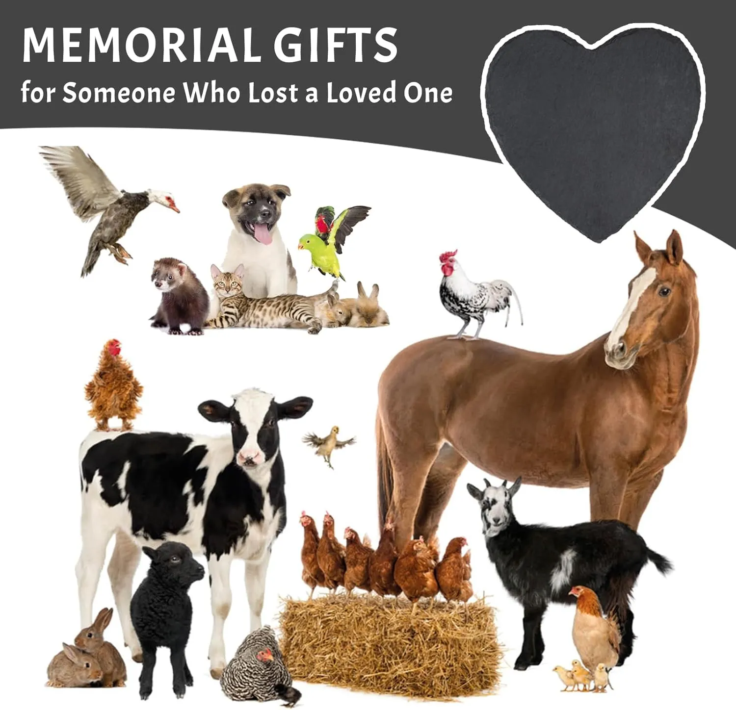Personalized Pet Bearded Dragon Memorial Stone, Customized Memorial Grave Marker with Photo Name, Bearded Dragon Gravestone Headstone Memorial Plaque, Memorial Gifts for Loss of Bearded Dragon