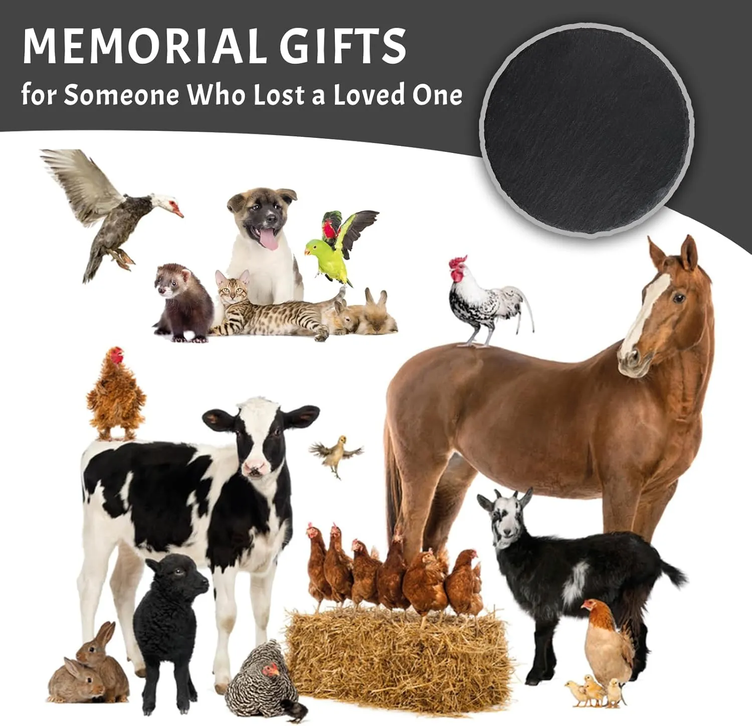 Personalized Pet Grey Parrot Memorial Stone, Custom Grey Parrot Grave Marker with Photo Name, Parrot Headstone, Bird Gravestone, Garden Remembrance Plaque for Pet Bird Parrot