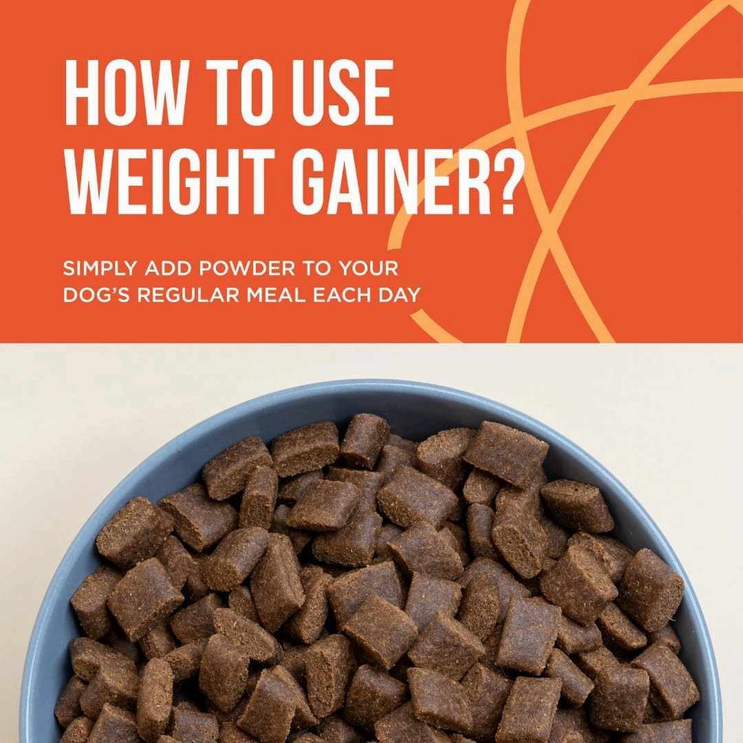 PET Care Science 8 lbs of Dog Weight Gainer - Weight Gain Supplements for Dogs - Canine and Dog Muscle Builder