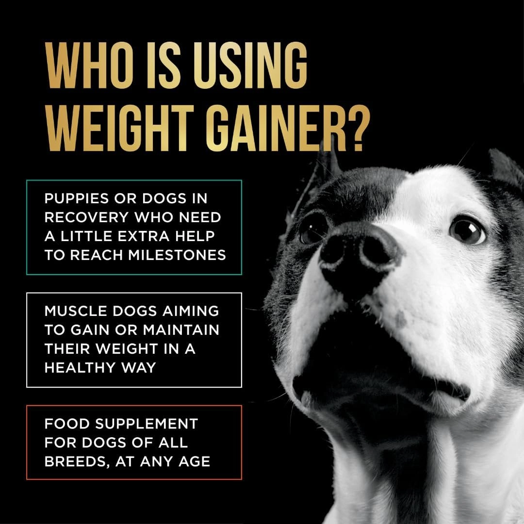 PET Care Science 8 lbs of Dog Weight Gainer - Weight Gain Supplements for Dogs - Canine and Dog Muscle Builder