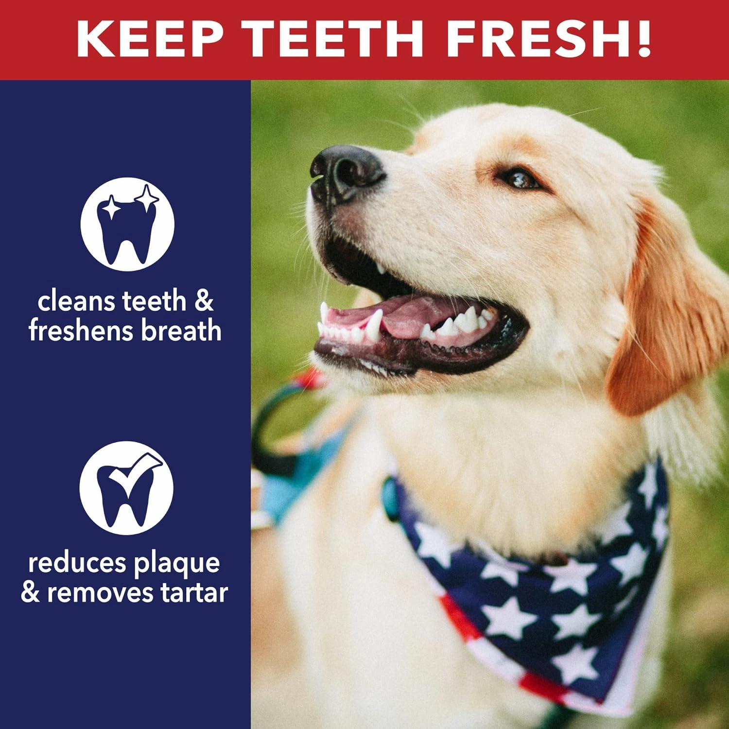 Pet Factory 100% Made in USA Beefhide 5" Chip Rolls Dog Chew Treats - Natural Flavor, 22 Count/1 Pack