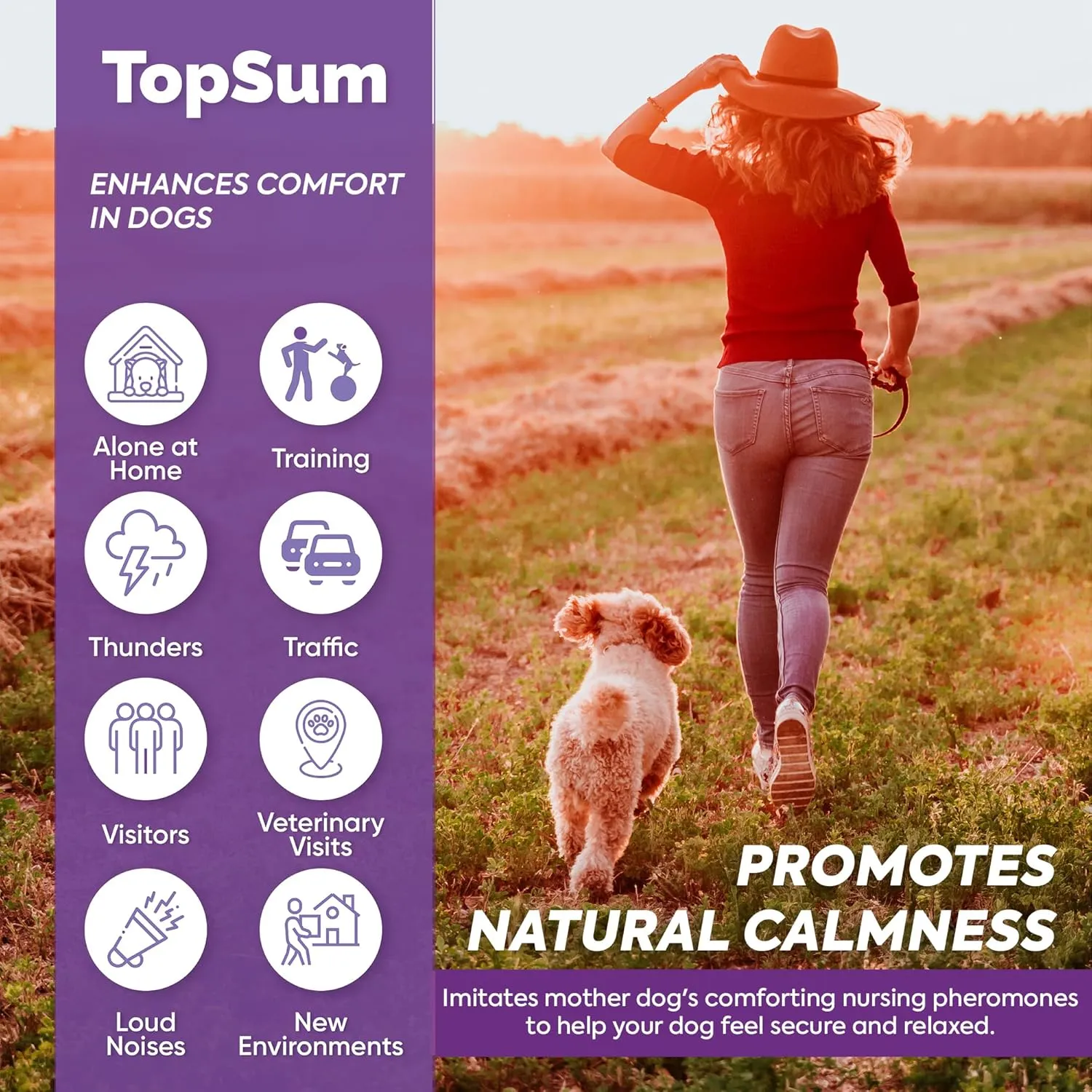 Pheromone Diffuser for Dogs: Premium Dog Calming Diffuser - Calming Pheromones for Dogs - Dog Appeasing Pheromone - Pet Calming Diffuser, 2 Pack (Purple)