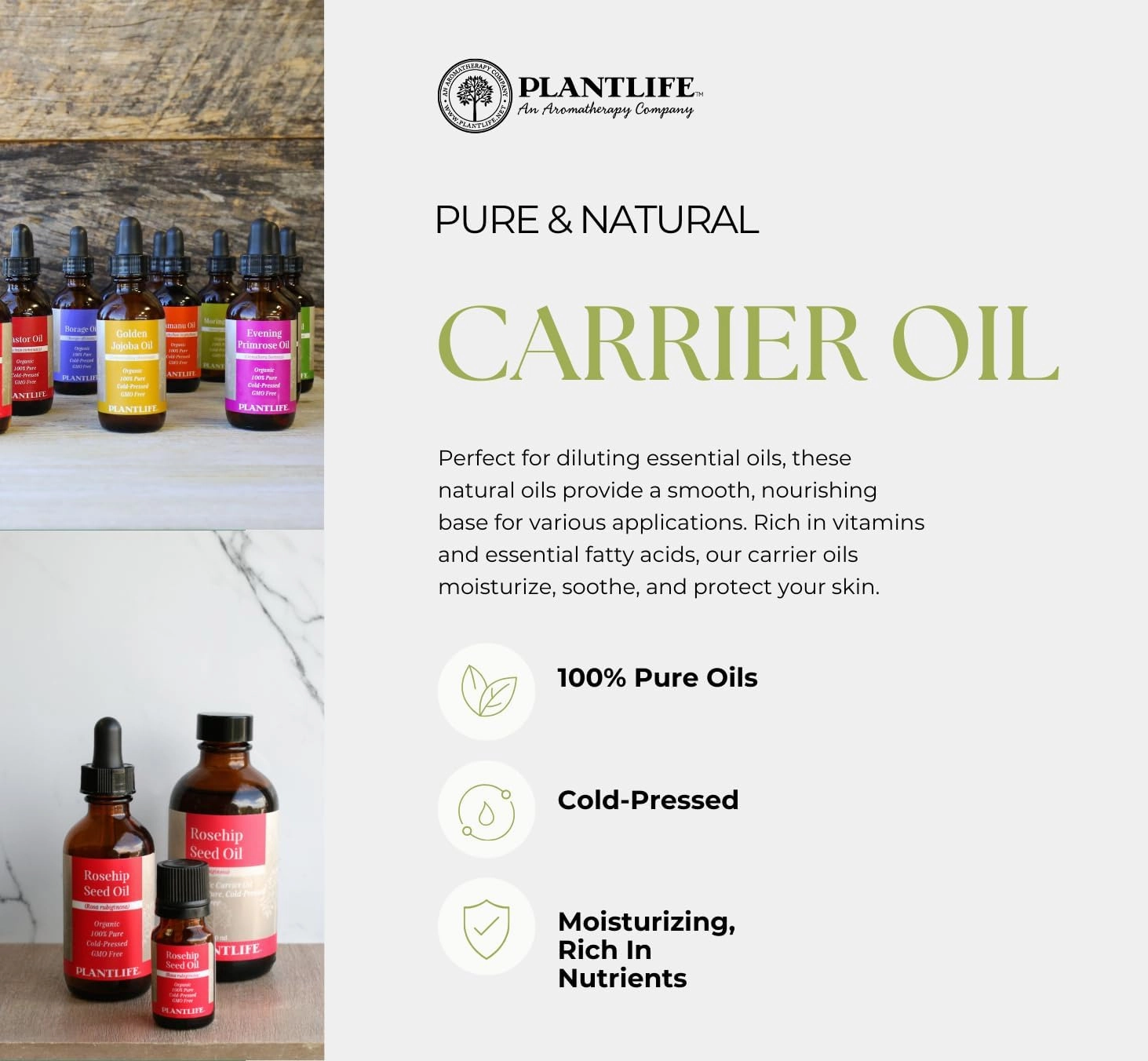 Plantlife Argan Carrier Oil - Cold Pressed, Non-GMO, and Gluten Free Carrier Oils - for Skin, Hair, and Personal Care - 2 oz