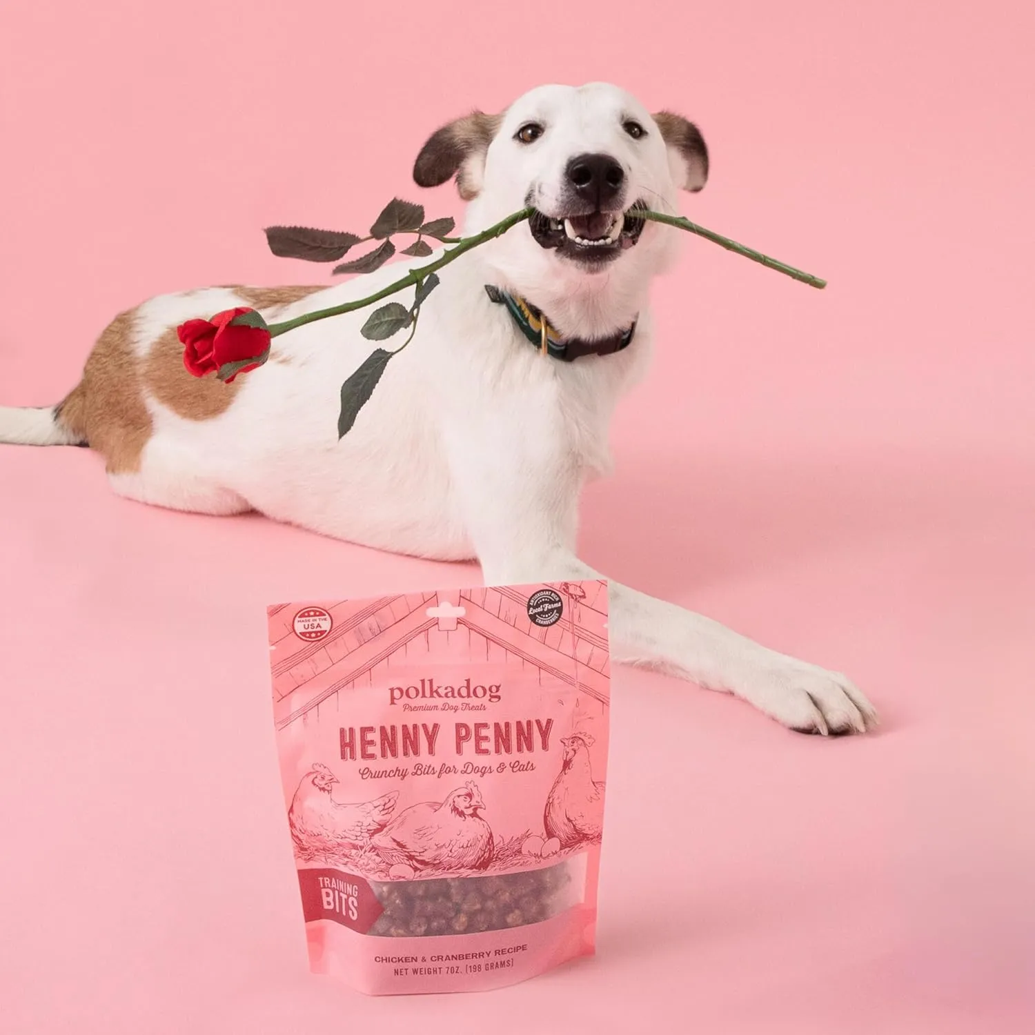 Polkadog Henny Penny Chicken & Cranberry Dog Treats – Cat Snacks, Bite-Shaped Treat for Dogs, Puppies – All-Natural Pet, Dog Treats – 7 oz