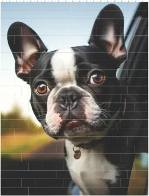 Puppy Dog Boston Terrier Building Block Puzzle Personalized Building Bricks for Adults Square Shaped Block Puzzle Building Brick Block Puzzles Valentine's Day Gifts for Home Decor Brick Puzzle