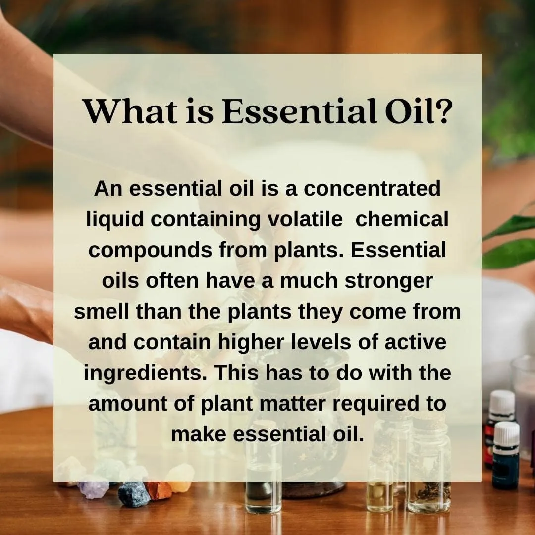 Pure Elemi Essential Oil (Canarium luzonicum) Steam Distilled 300ml (10 oz)