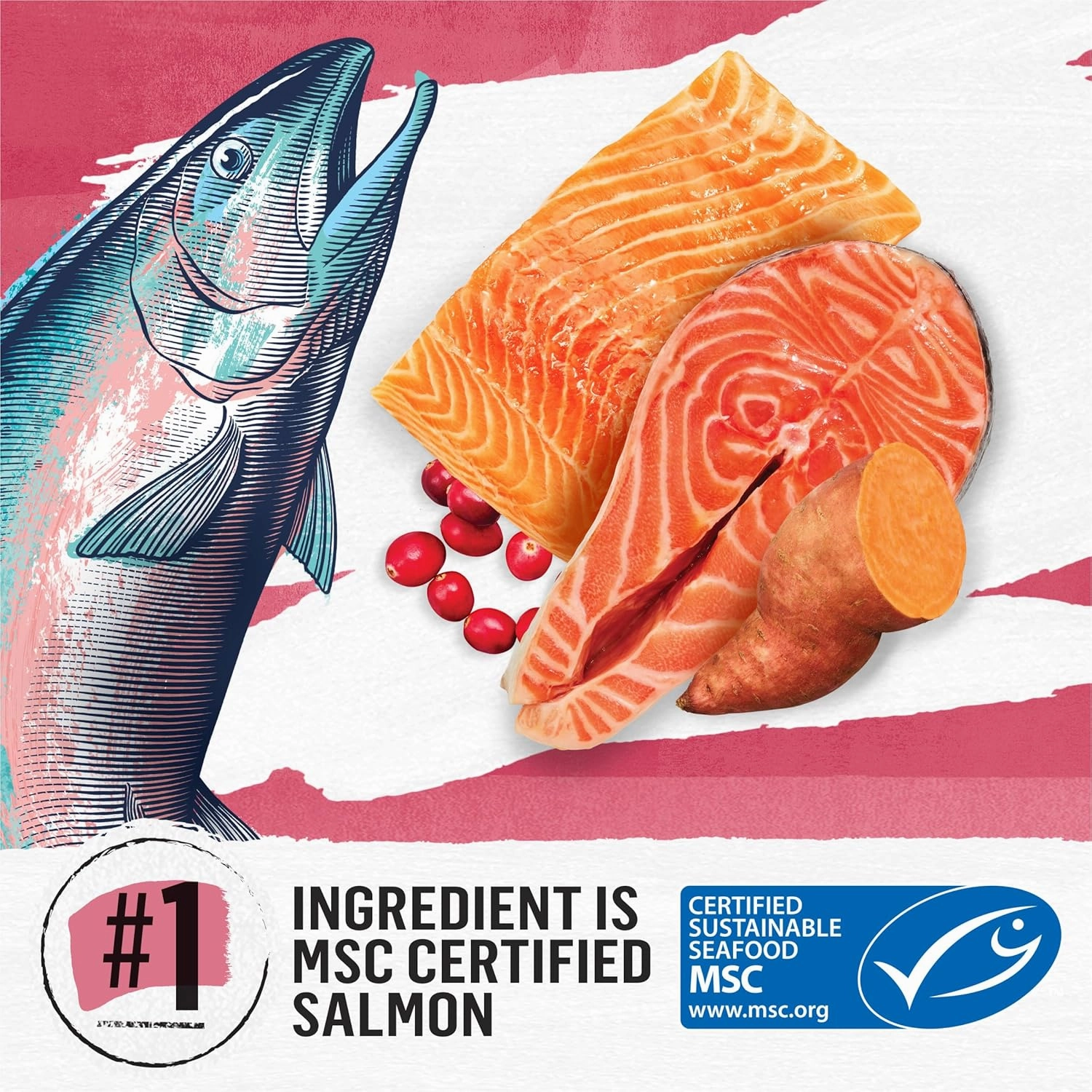 Purina Beyond Grain Free, Natural Dry Cat Food, Simply Indoor Salmon, Egg & Sweet Potato Recipe - 5 lb. Bag