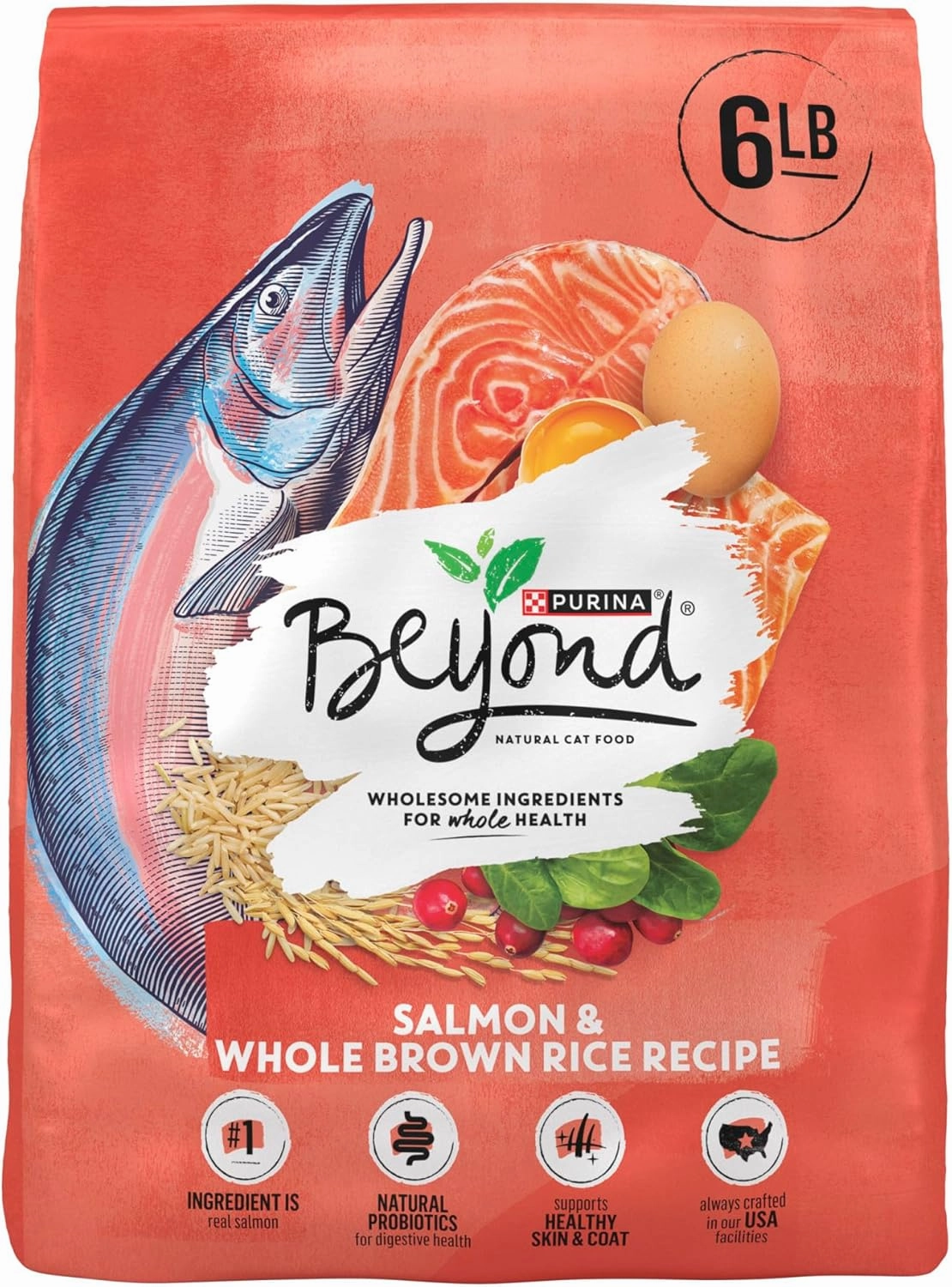 Purina Beyond Natural Wholesome Ingredients for Whole Health Dry Cat Food Salmon and Whole Brown Rice Recipe - 6 lb. Bag