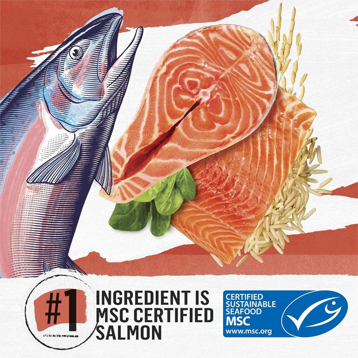Purina Beyond Natural Wholesome Ingredients for Whole Health Dry Cat Food Salmon and Whole Brown Rice Recipe - 6 lb. Bag