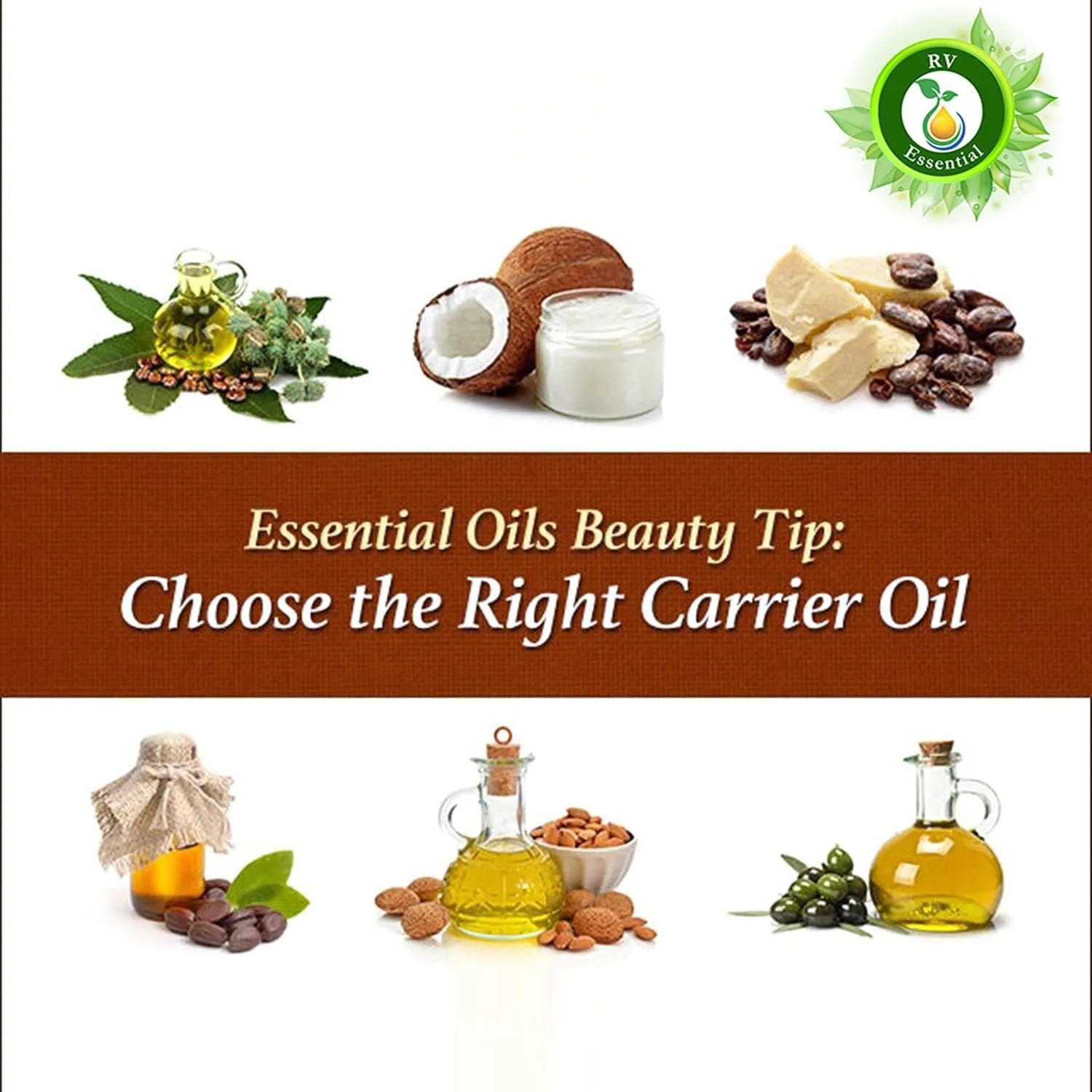 R V Essential Croton Carrier Oil 30ml (1.01oz)- Croton Tiglium Linn (Natural and Cold Pressed)