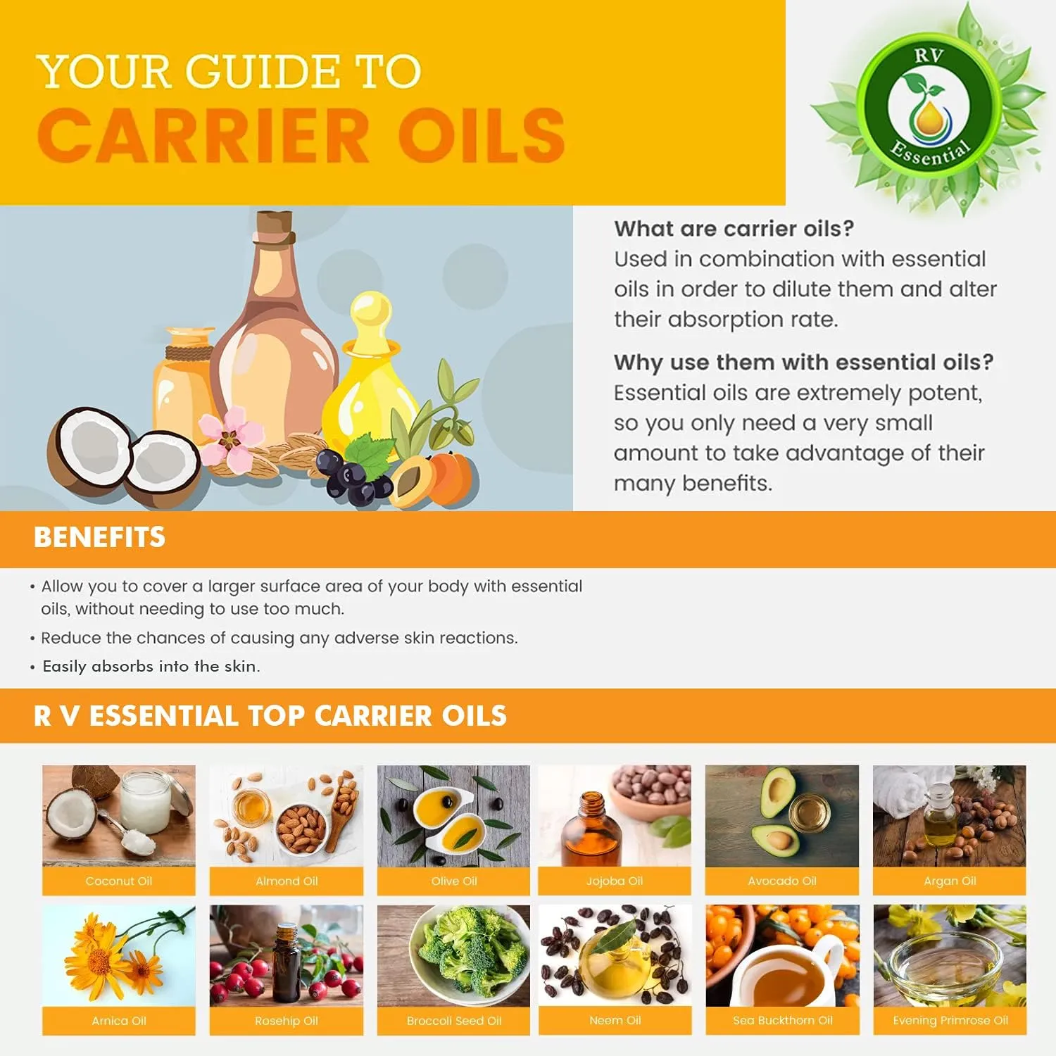 R V Essential Croton Carrier Oil 30ml (1.01oz)- Croton Tiglium Linn (Natural and Cold Pressed)