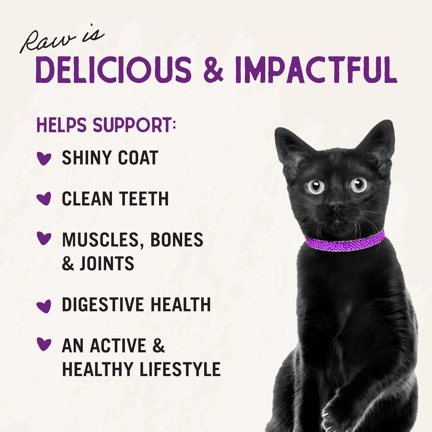 Stella & Chewy's Freeze-Dried Raw Cat Dinner Morsels - Premium Salmon & Cod Recipe with 98% Wild-Caught Fish & Organs - Natural Grain-Free Cat & Kitten Food - Made in USA - 3.5 oz