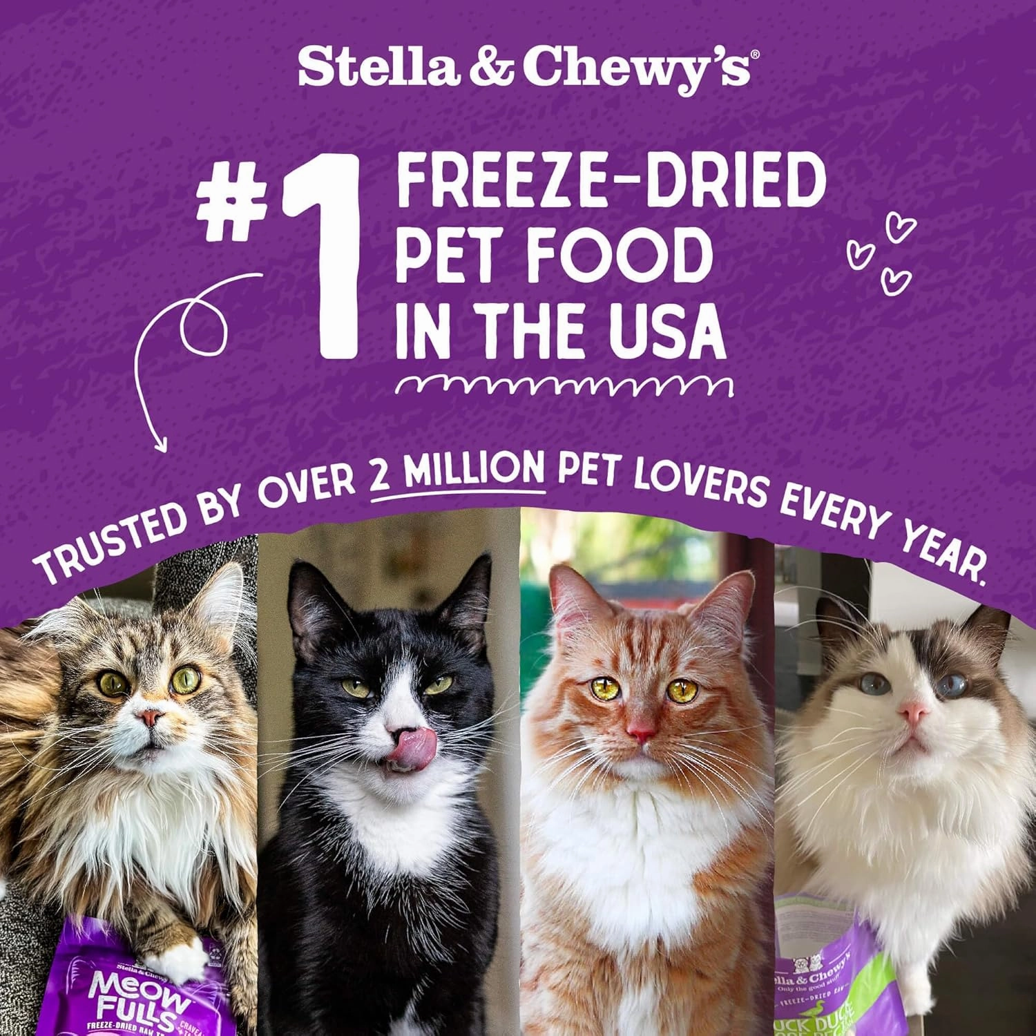 Stella & Chewy's Freeze-Dried Raw Cat Dinner Morsels - Premium Salmon & Cod Recipe with 98% Wild-Caught Fish & Organs - Natural Grain-Free Cat & Kitten Food - Made in USA - 3.5 oz