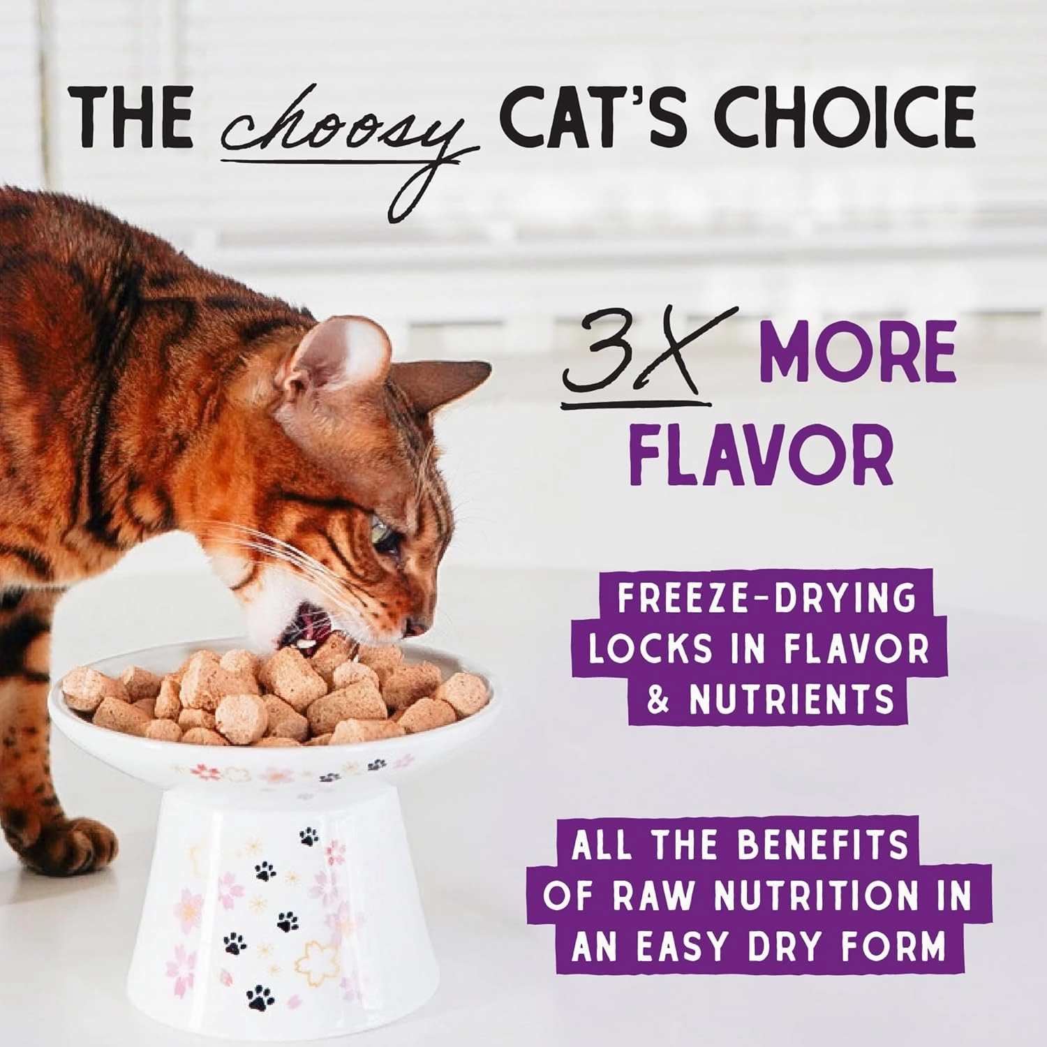 Stella & Chewy's Freeze-Dried Raw Cat Dinner Morsels - Premium Salmon & Cod Recipe with 98% Wild-Caught Fish & Organs - Natural Grain-Free Cat & Kitten Food - Made in USA - 3.5 oz