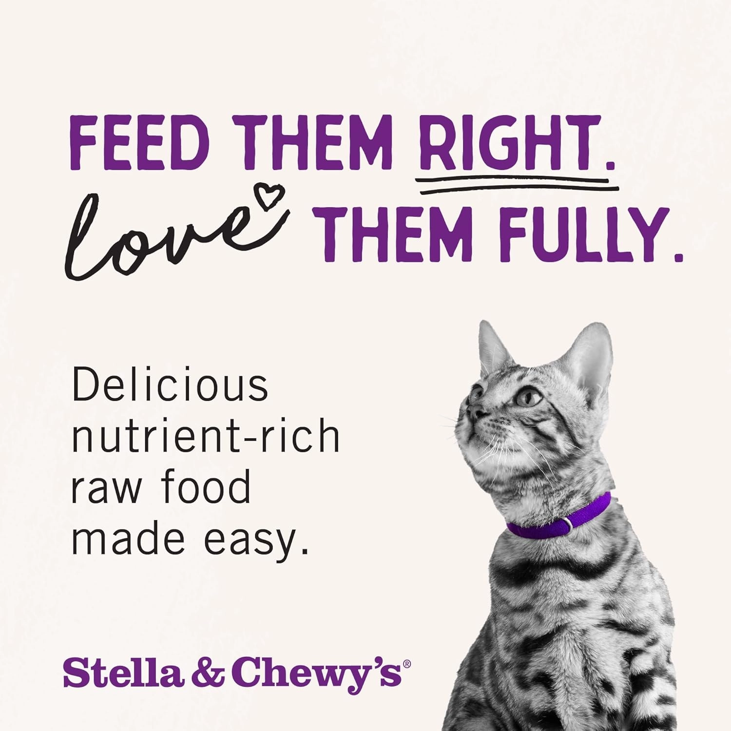 Stella & Chewy's Freeze-Dried Raw Cat Dinner Morsels - Premium Salmon & Cod Recipe with 98% Wild-Caught Fish & Organs - Natural Grain-Free Cat & Kitten Food - Made in USA - 3.5 oz