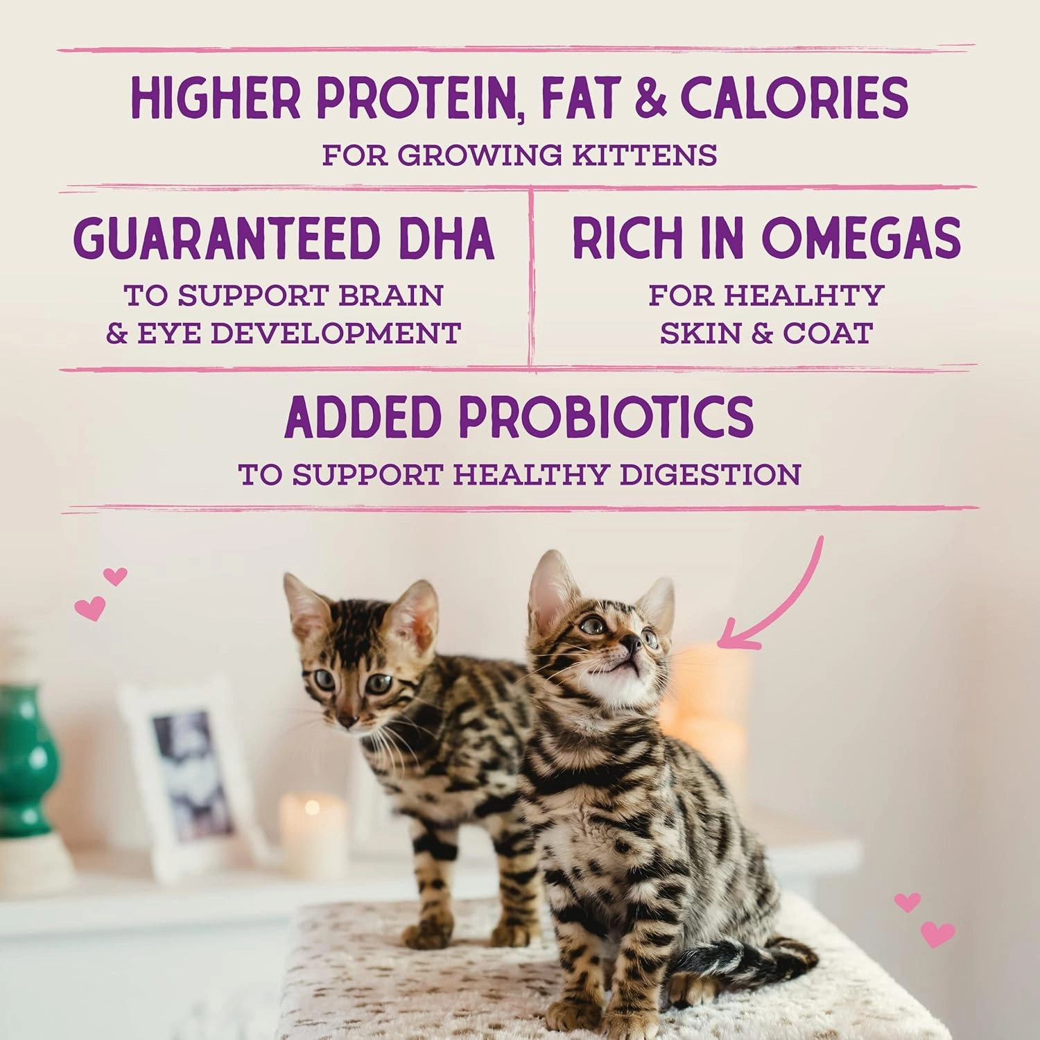 Stella & Chewy's Raw Coated Premium Kibble Cat & Kitten Food – Grain Free, Protein Rich Meals – Cage-Free Chicken for Kittens Recipe – 5 lb. Bag