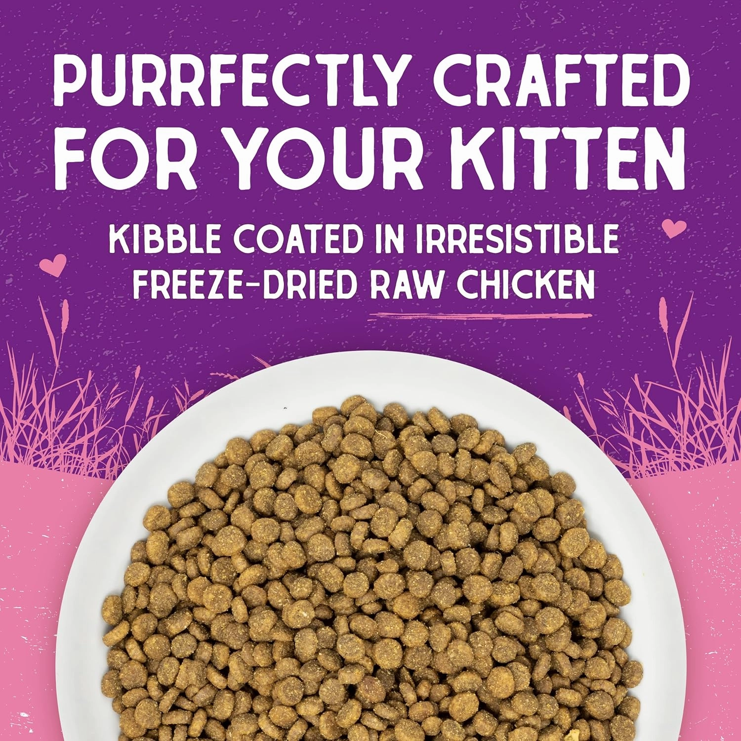 Stella & Chewy's Raw Coated Premium Kibble Cat & Kitten Food – Grain Free, Protein Rich Meals – Cage-Free Chicken for Kittens Recipe – 5 lb. Bag