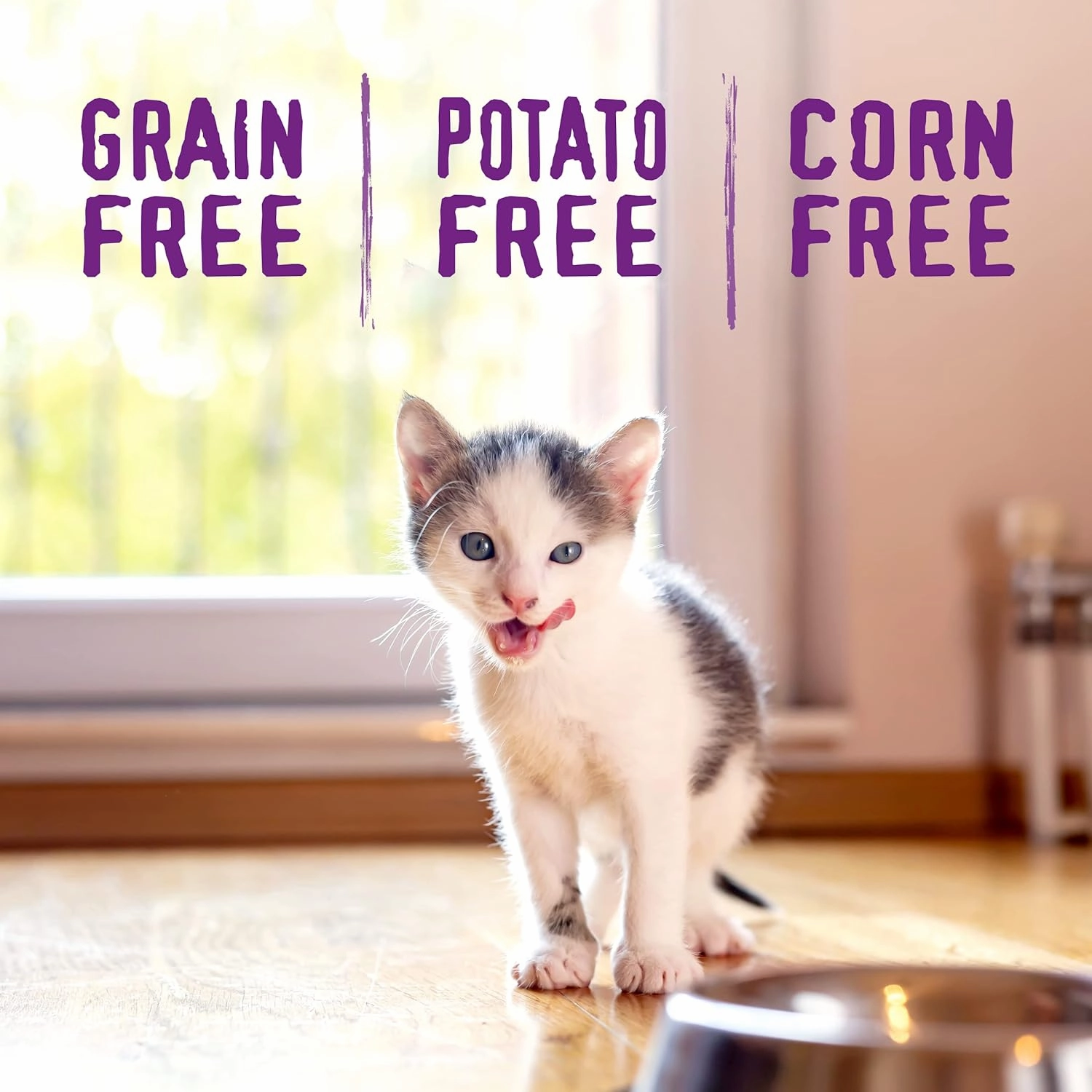 Stella & Chewy's Raw Coated Premium Kibble Cat & Kitten Food – Grain Free, Protein Rich Meals – Cage-Free Chicken for Kittens Recipe – 5 lb. Bag