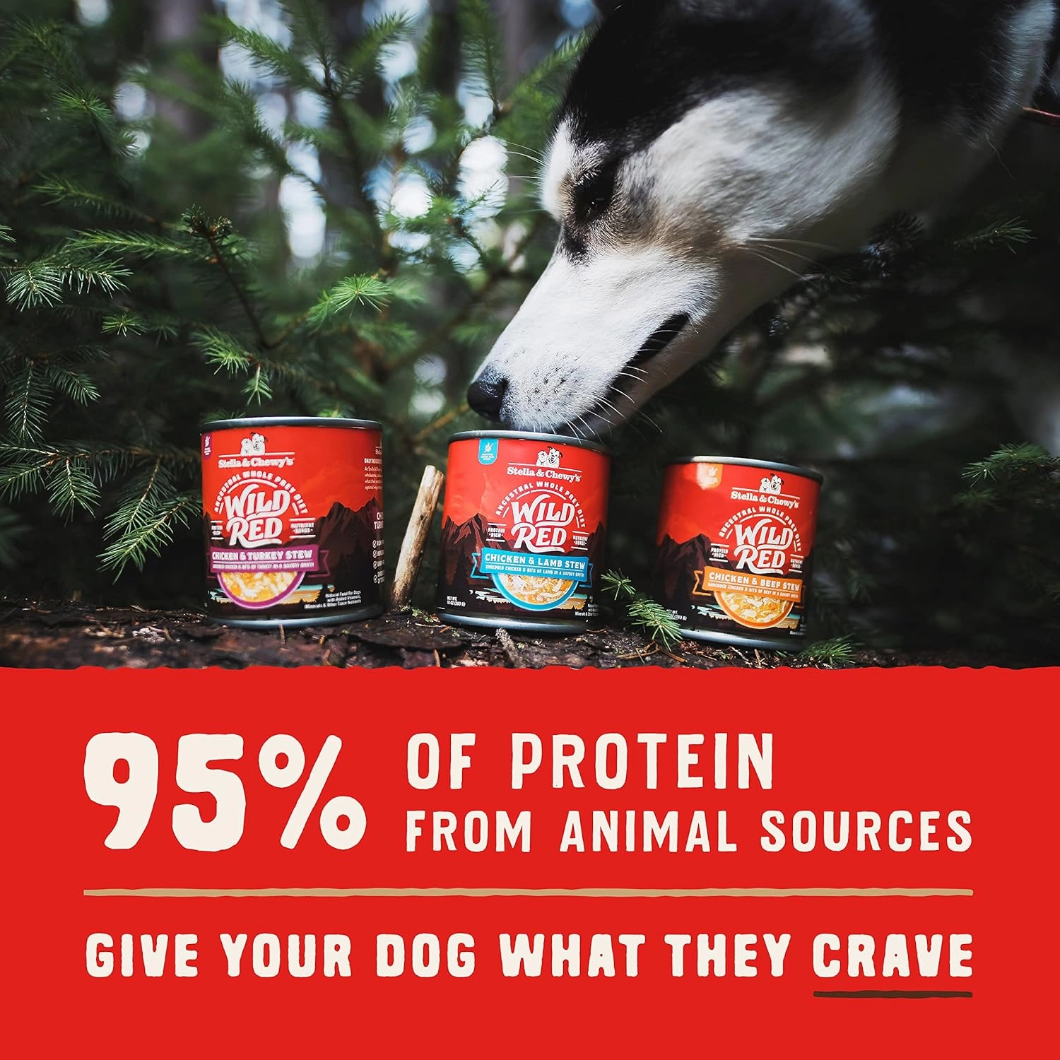 Stella & Chewy's Wild Red Wet Dog Food Chicken & Turkey Stew High Protein Recipe, 10 Ounce (Pack of 6)