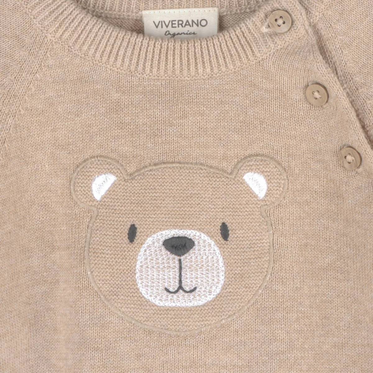 Teddy Bear Applique Baby Raglan Pullover
