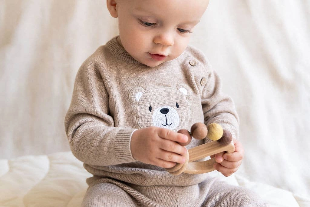 Teddy Bear Applique Baby Raglan Pullover