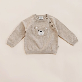 Teddy Bear Applique Baby Raglan Pullover