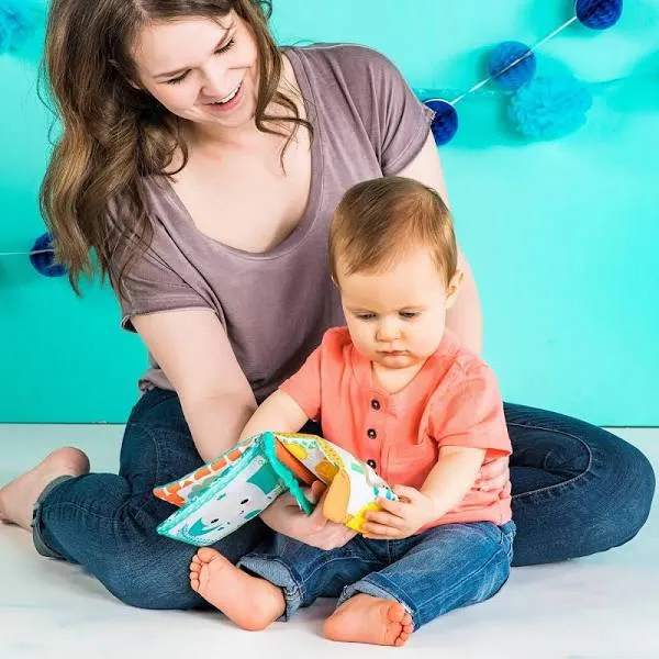 Teethe & Read Toy