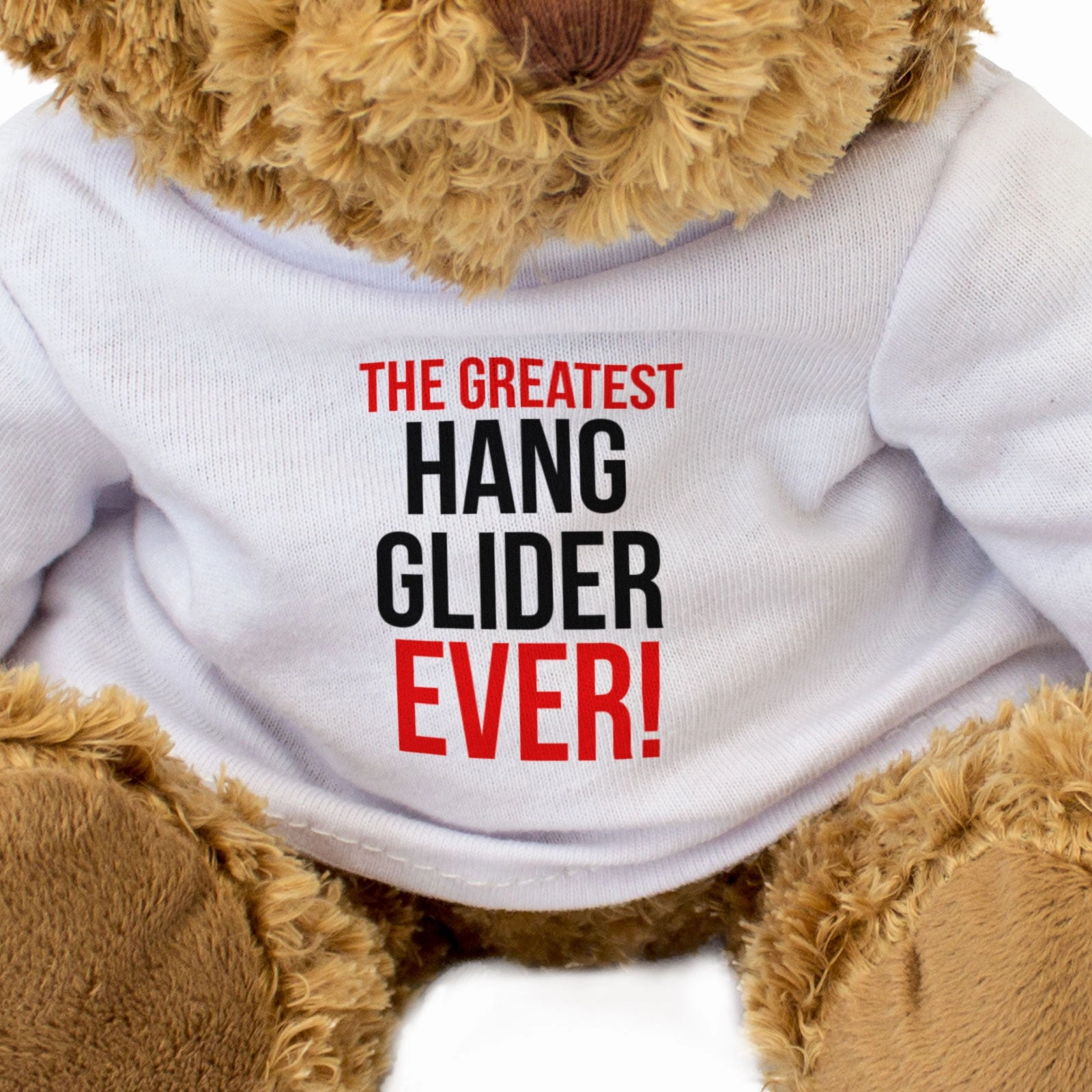 THE GREATEST HANG GLIDER EVER - Teddy Bear - Cute Cuddly - Gift Present