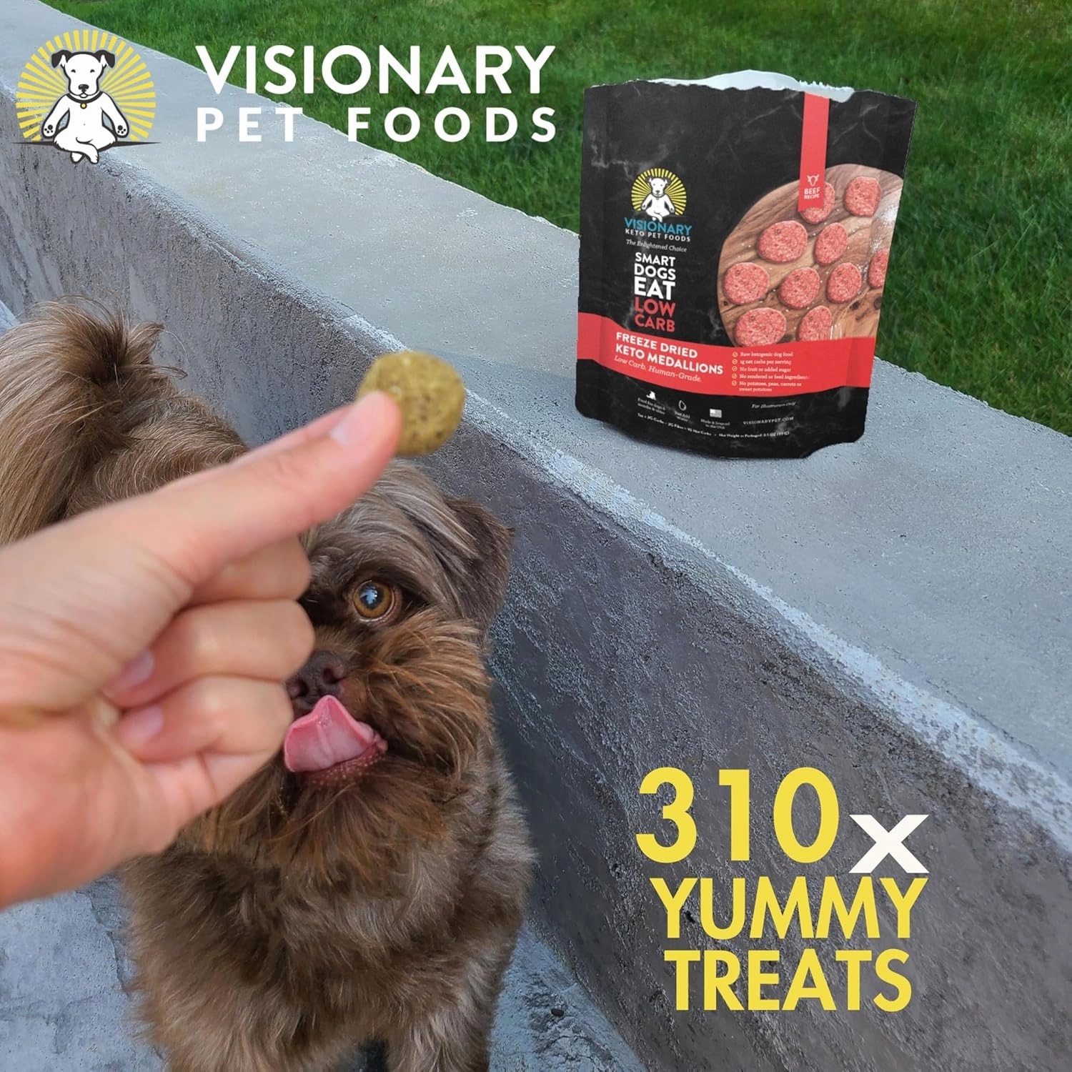 Visionary Pet Foods Beef Freeze Dried Real Meat Dog Treats, 310x Healthy Treats, Low Carb, Grain Free – Organic, Human Grade Food, Freeze Dried Dog Training Treats, Value Size 25oz