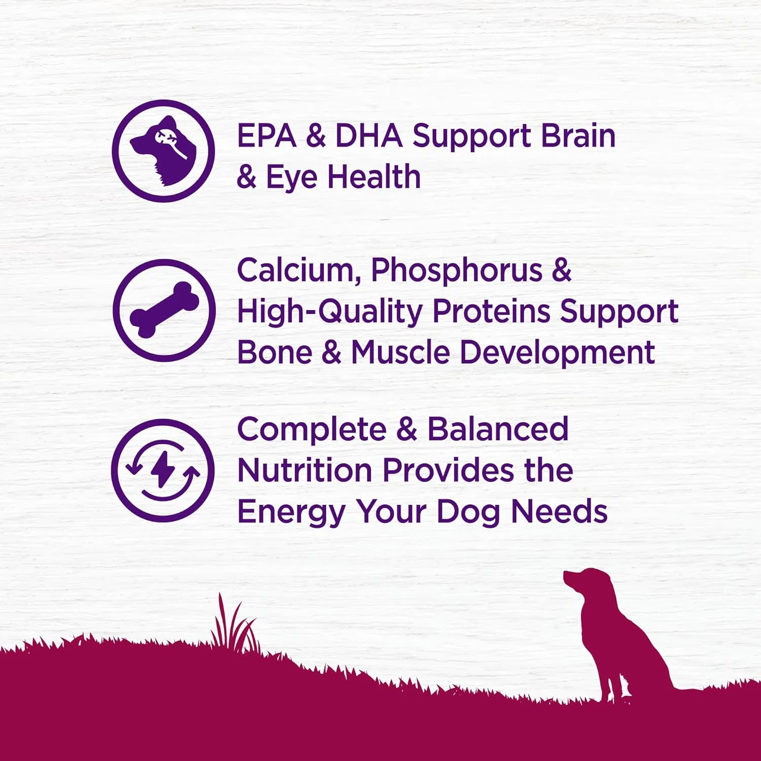 Wellness Complete Health Puppy Dry Dog Food, Small Breed, Wholesome Grains, Natural, Chicken, Oatmeal, & Salmon Recipe, (4-Pound Bag)