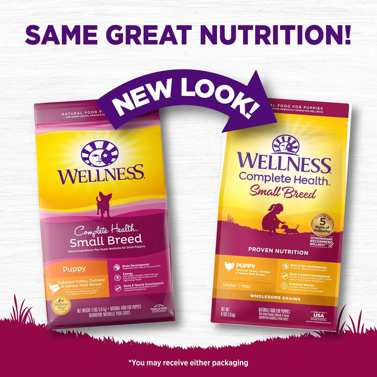 Wellness Complete Health Puppy Dry Dog Food, Small Breed, Wholesome Grains, Natural, Chicken, Oatmeal, & Salmon Recipe, (4-Pound Bag)