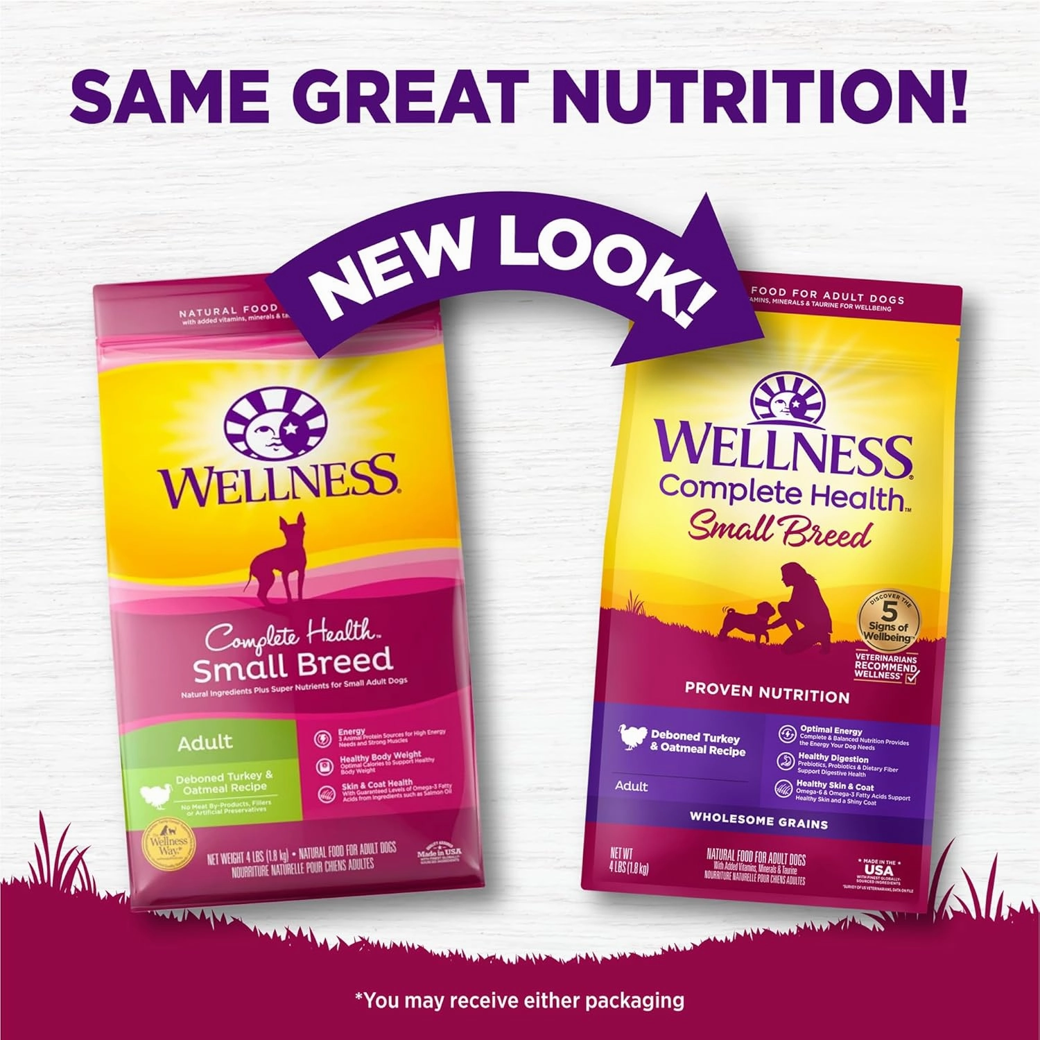 Wellness Complete Health Dry Dog Food, Small Breed, Wholesome Grains, Natural, Turkey & Oatmeal Recipe, (4-Pound Bag)