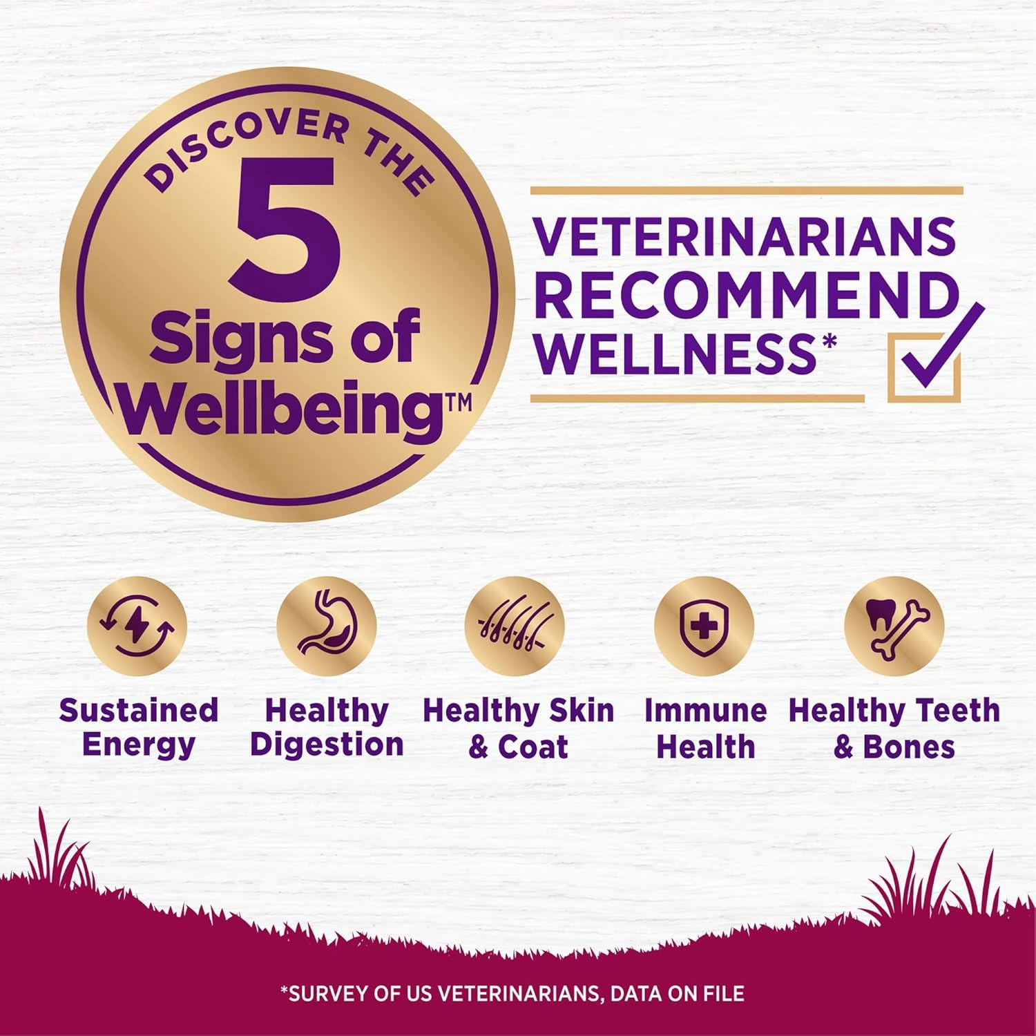Wellness Complete Health Dry Dog Food, Small Breed, Wholesome Grains, Natural, Turkey & Oatmeal Recipe, (4-Pound Bag)