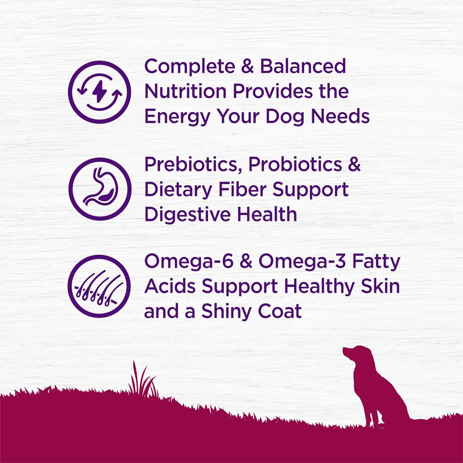 Wellness Complete Health Dry Dog Food, Small Breed, Wholesome Grains, Natural, Turkey & Oatmeal Recipe, (4-Pound Bag)