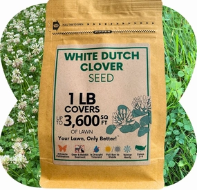 White Dutch Clover Seed, Organic Coated, Natural Lawn, Ground Cover, Hunting Food Plot, 1 Lb Covers Up to 3,600 Sqft
