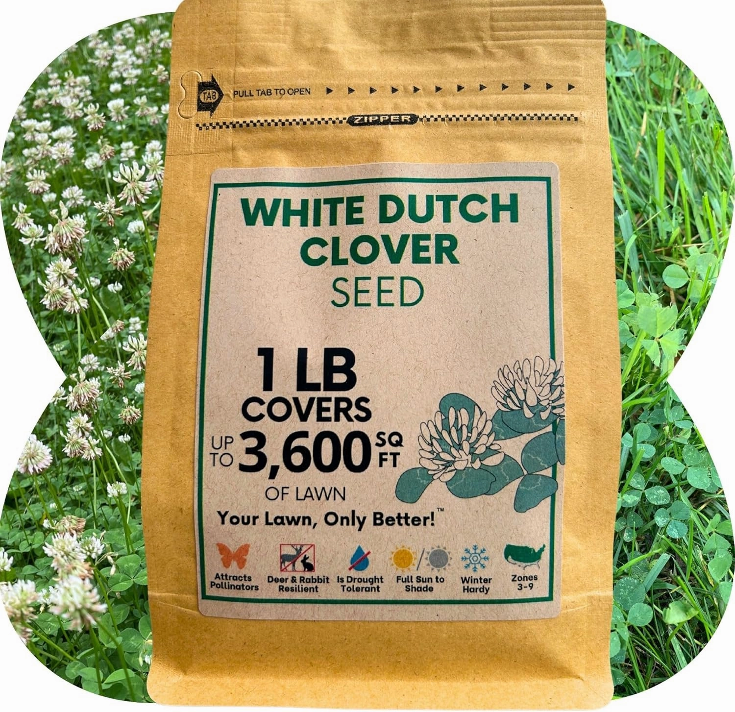 White Dutch Clover Seed, Organic Coated, Natural Lawn, Ground Cover, Hunting Food Plot, 1 Lb Covers Up to 3,600 Sqft