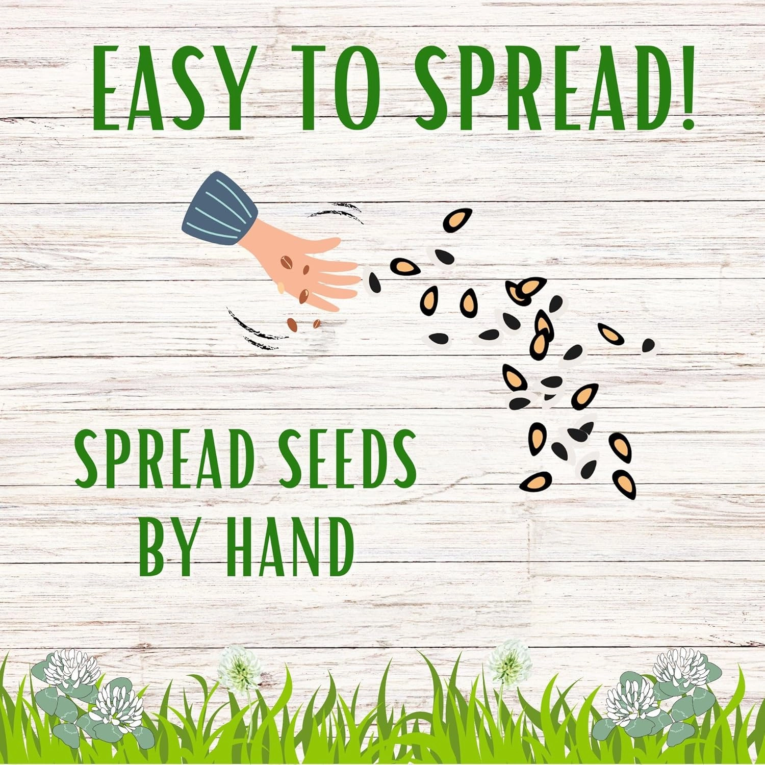 White Dutch Clover Seed, Organic Coated, Natural Lawn, Ground Cover, Hunting Food Plot, 1 Lb Covers Up to 3,600 Sqft