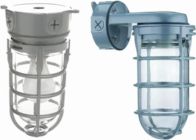 Woods Vandal Resistant Security Light (150W Incandescent Bulb) and Lithonia Lighting Incandescent Utility Vapor Tight Wall Mount Fixture