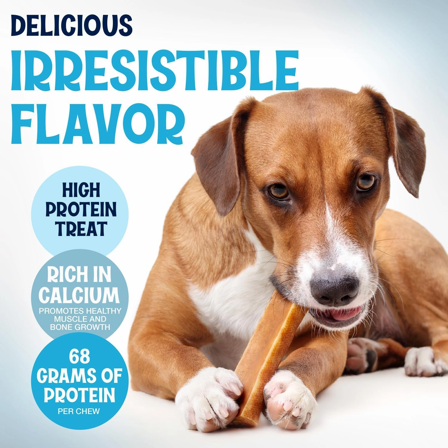 Yak Cheese Himalayan Dog Chews – Long Lasting, Odorless, Natural Dog Bones - High Protein, No GMO Treat – Made with Real Himalayan Salt and Yak Milk for Medium and Small Dogs - 3 Sticks