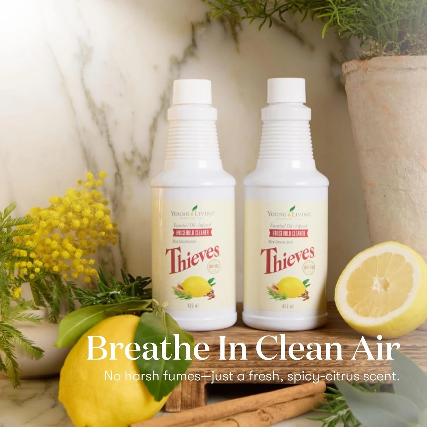 Young Living Thieves Household Cleaner 14.4 oz, Plant-Based All-Purpose Cleaner with Essential Oils, Safe for Floors, Mirrors, Carpets & Pet Areas